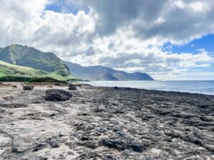 Rocky coastline with green mountains and cloudy sky. / Photo by Brenna Hollingsworth on Unsplash