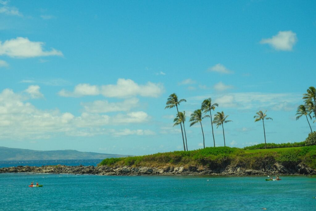 A beach with palm trees and boats in the water / Photo by Elias Almaguer on Unsplash