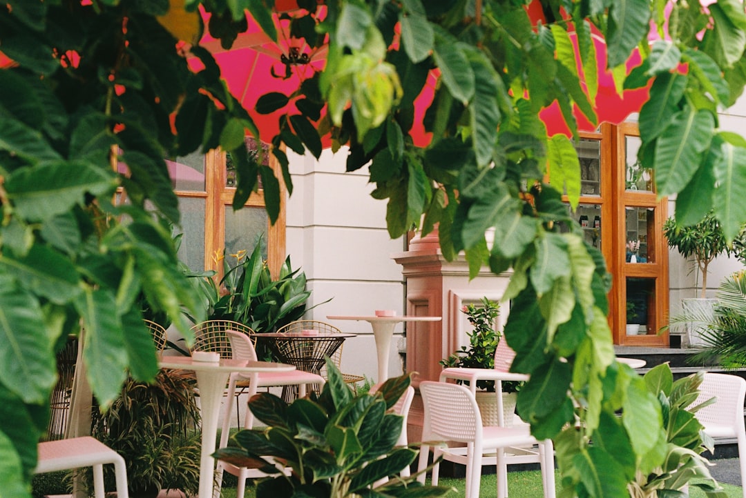 Outdoor cafe with tables and chairs seen through green leaves.