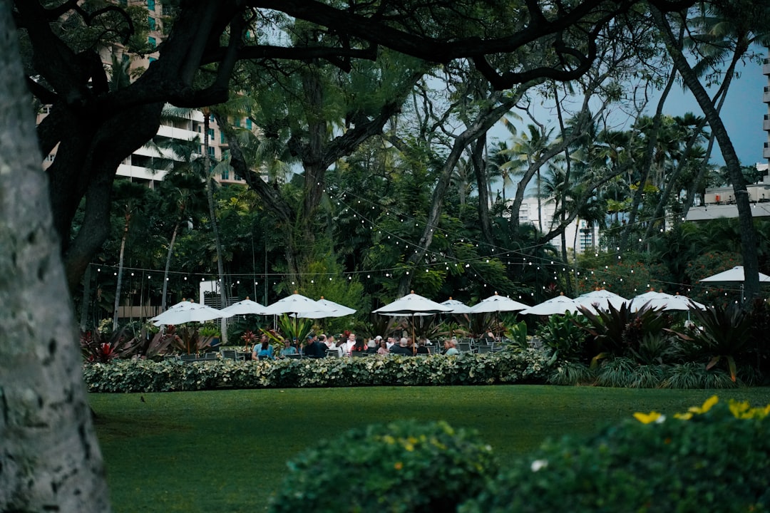 Outdoor seating area with white umbrellas and string lights.