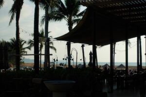 Palm trees and ocean view from shaded patio