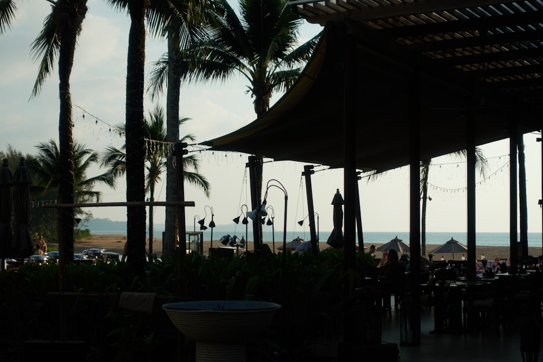 Palm trees and ocean view from shaded patio