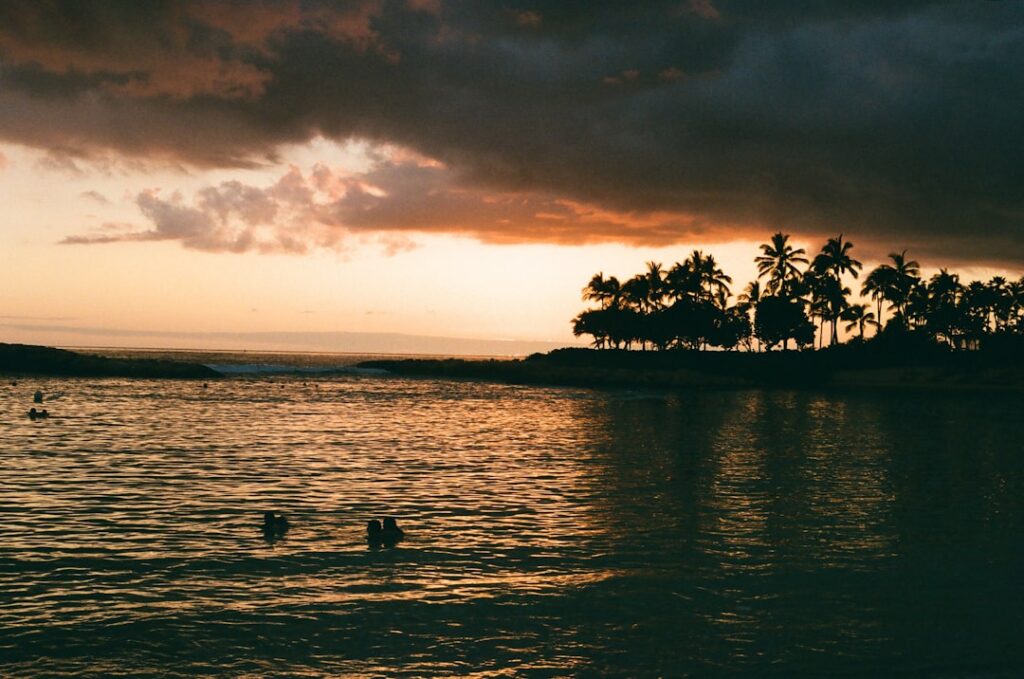 a couple of people swimming in a body of water / Photo by Trey Hollins on Unsplash