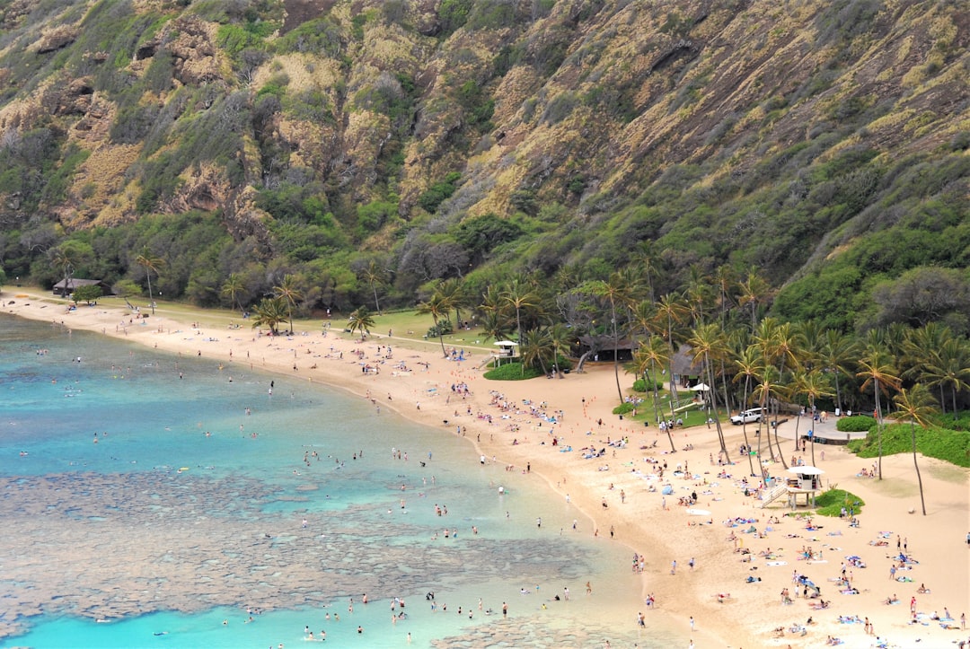 people on beach during daytime
