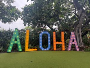 夜の芝生に灯る大きなALOHAのサイン