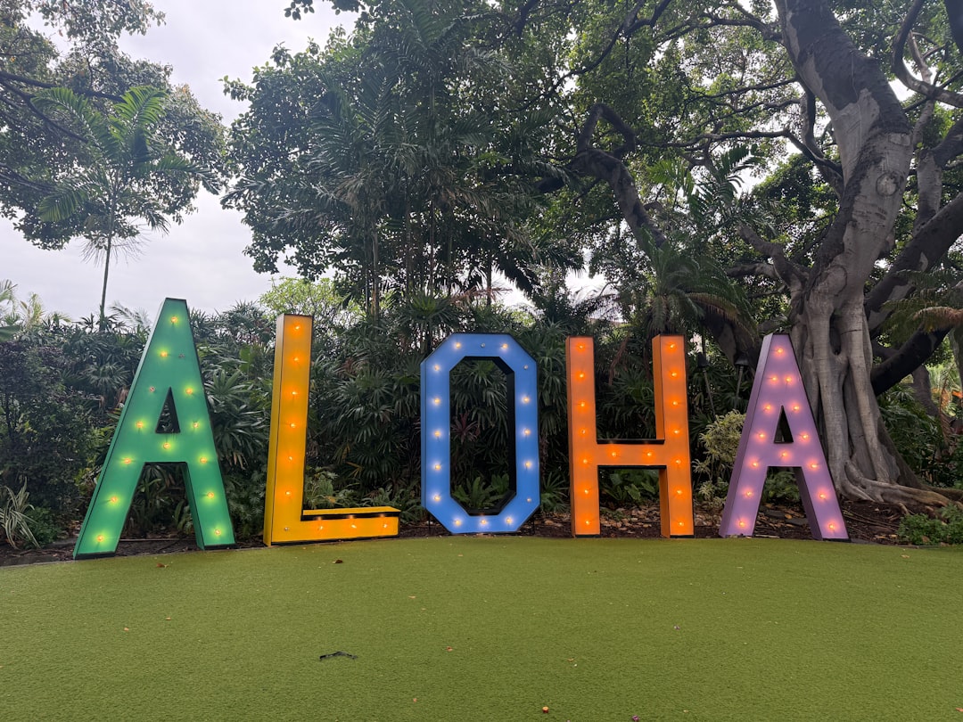 夜の芝生に灯る大きなALOHAのサイン