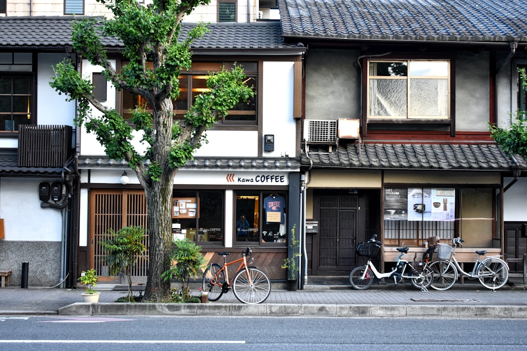 A coffee shop with a ginkgo tree and bicycles on a Japanese street