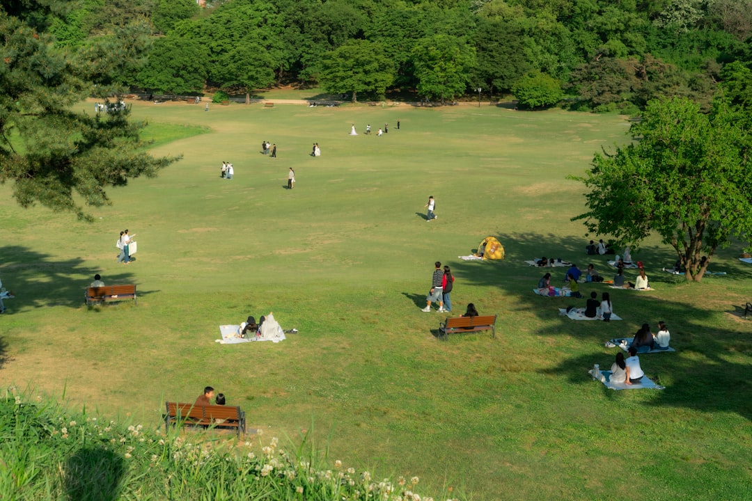 People relaxing and playing on a large green park lawn