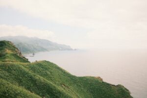 相模湾を見下ろす緑の丘と海（湘南平の展望イメージ）
